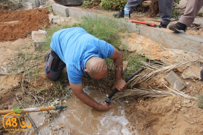 tasoooi3i1412 (52).JPG